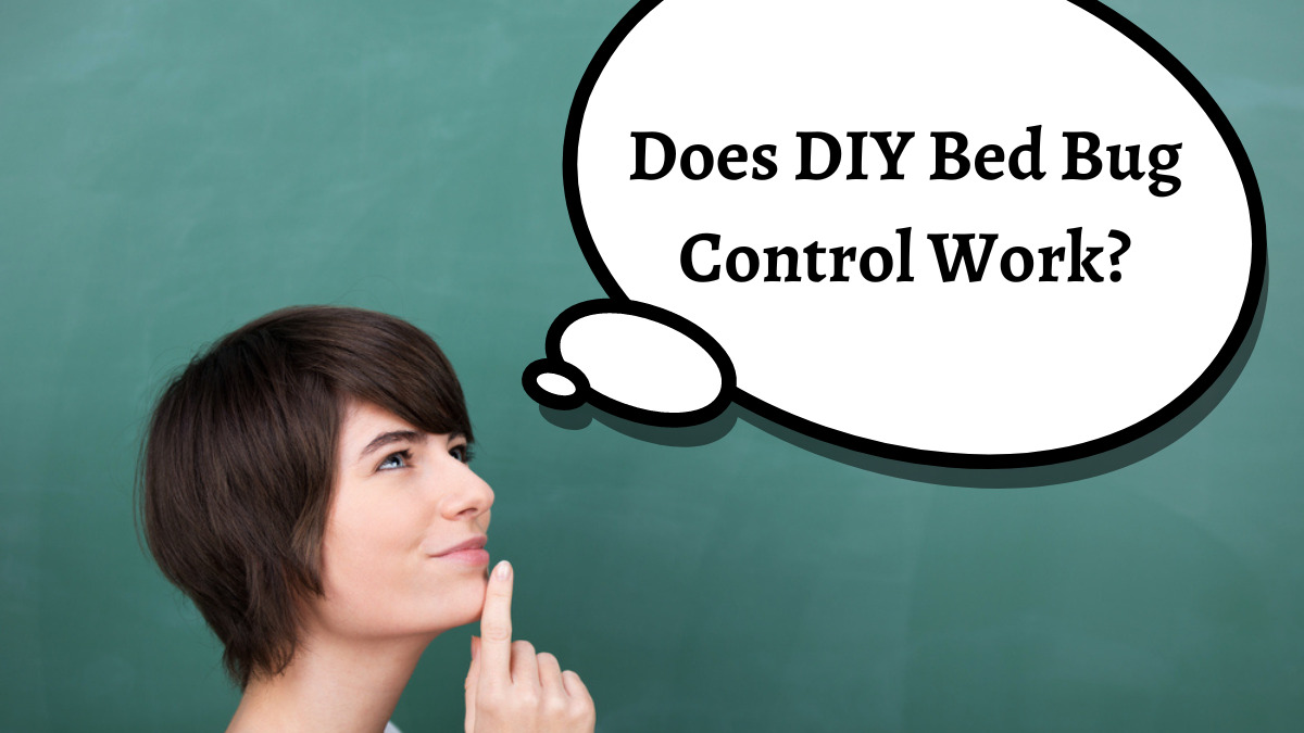 Does DIY Bed Bug Control Work?