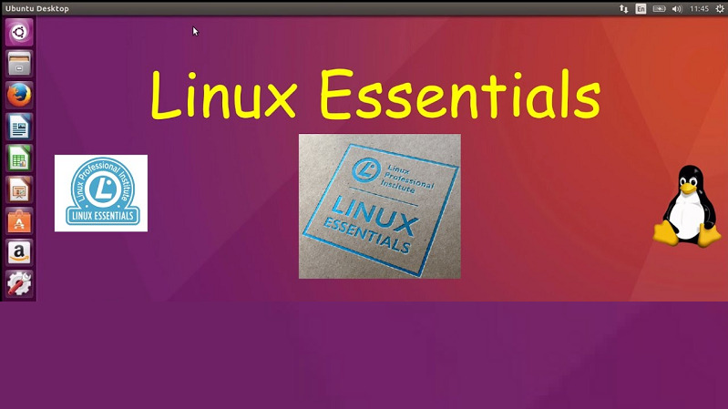 What Should Every Aspirant Know About Passing The LPIC Linux Essentials 010-150 Certification Exam?