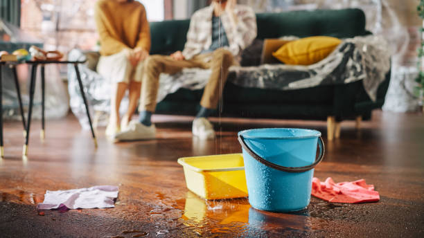 Water Damage Restoration for Your Home or Business Water Damage Restoration