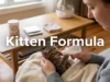 Kitten Formula Guide: A Complete Guide to Choosing the Right Milk Replacement, Safe Feeding Amounts, Feeding Schedules, Preparation Tips, and Knowing When to Wean Your Kitten Kitten Formula
