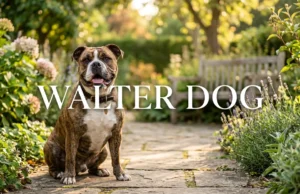 Walter Dog Explained: Nelson’s Real Name, Breed, Meme Origin, Viral Story, Internet Fame, and the Complete Background Behind the Famous Dog Walter Dog